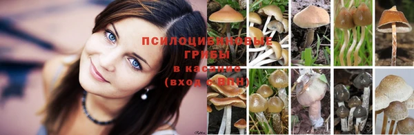 кокаин перу Горнозаводск