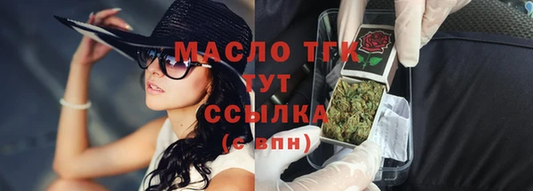 шишки Гусев