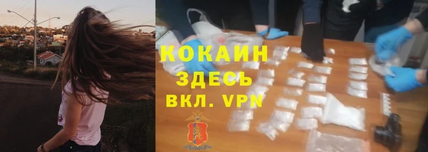 ГАЛЛЮЦИНОГЕННЫЕ ГРИБЫ Горно-Алтайск