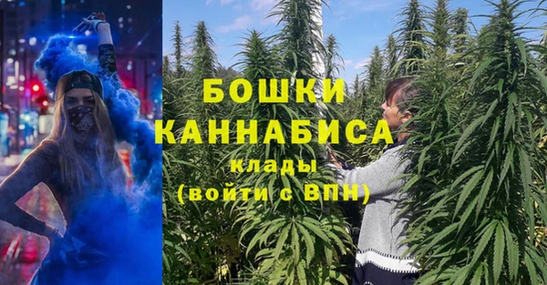ГАЛЛЮЦИНОГЕННЫЕ ГРИБЫ Горно-Алтайск