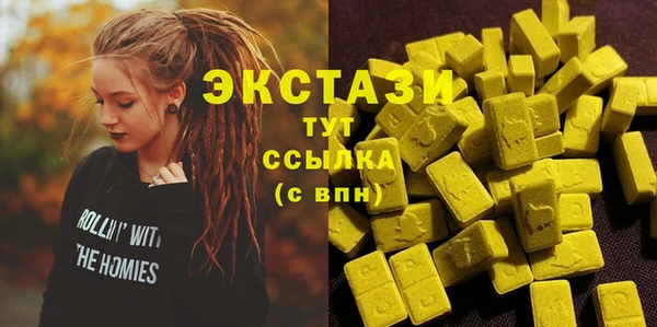 шишки Гусев