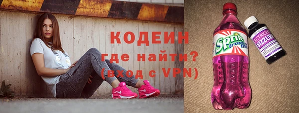 шишки Гусев