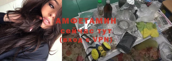 шишки Гусев