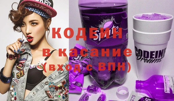 шишки Гусев